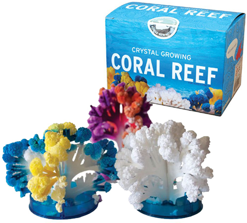 <b>Crystal Growing Coral Reef</b>