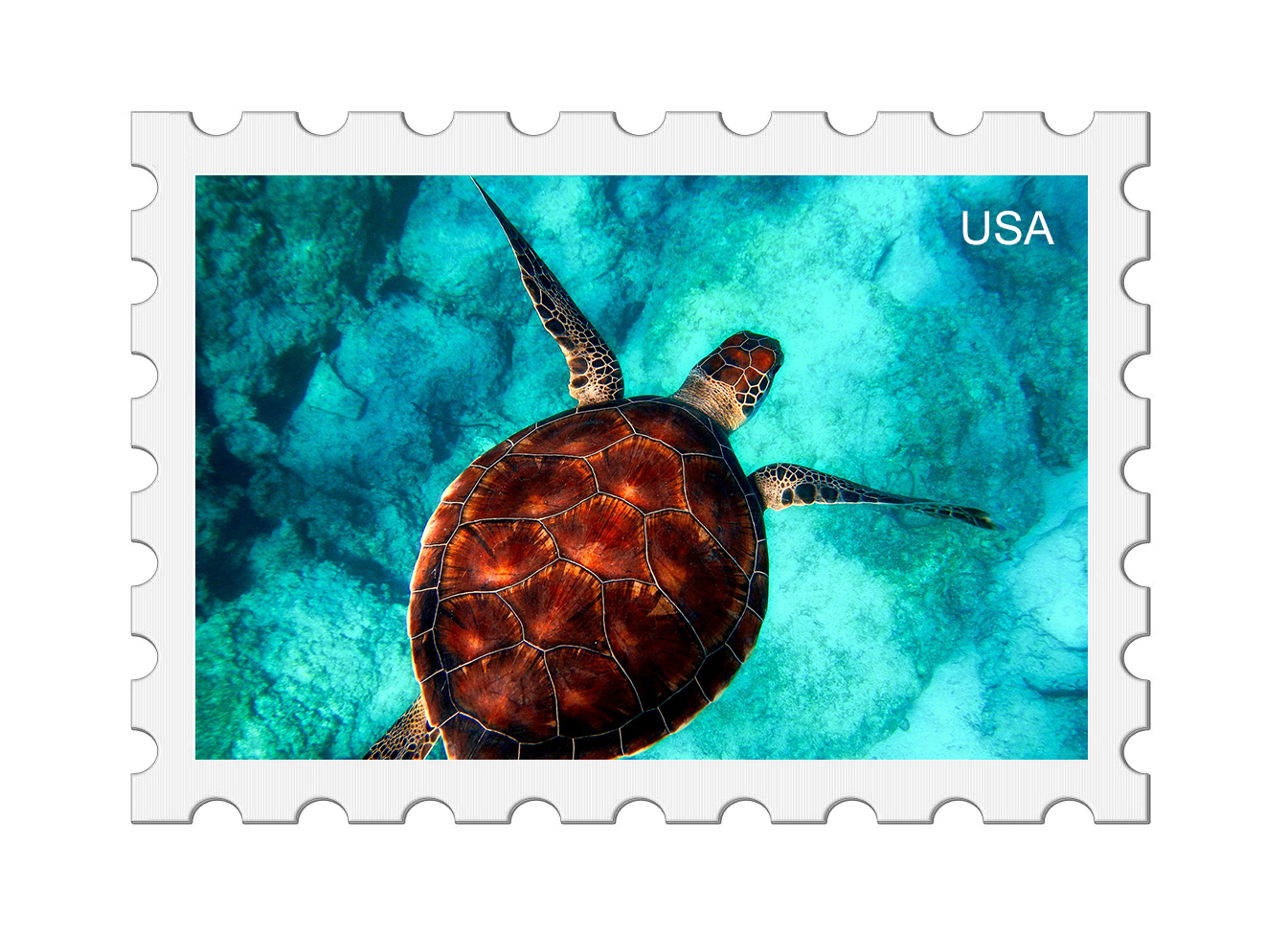 <b>Ocean Stamps from Around the World</b>