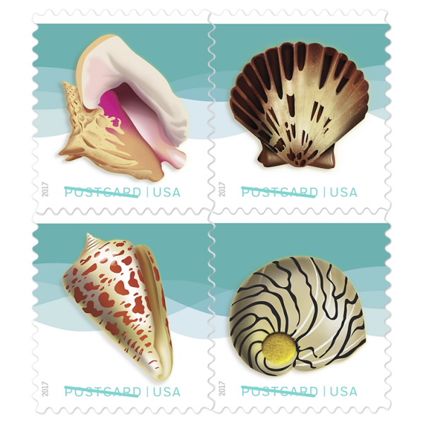 <b>United States: whimsical seashells </b>
