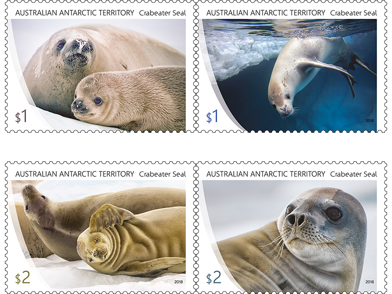 <b>Australia: Antarctic seals </b>