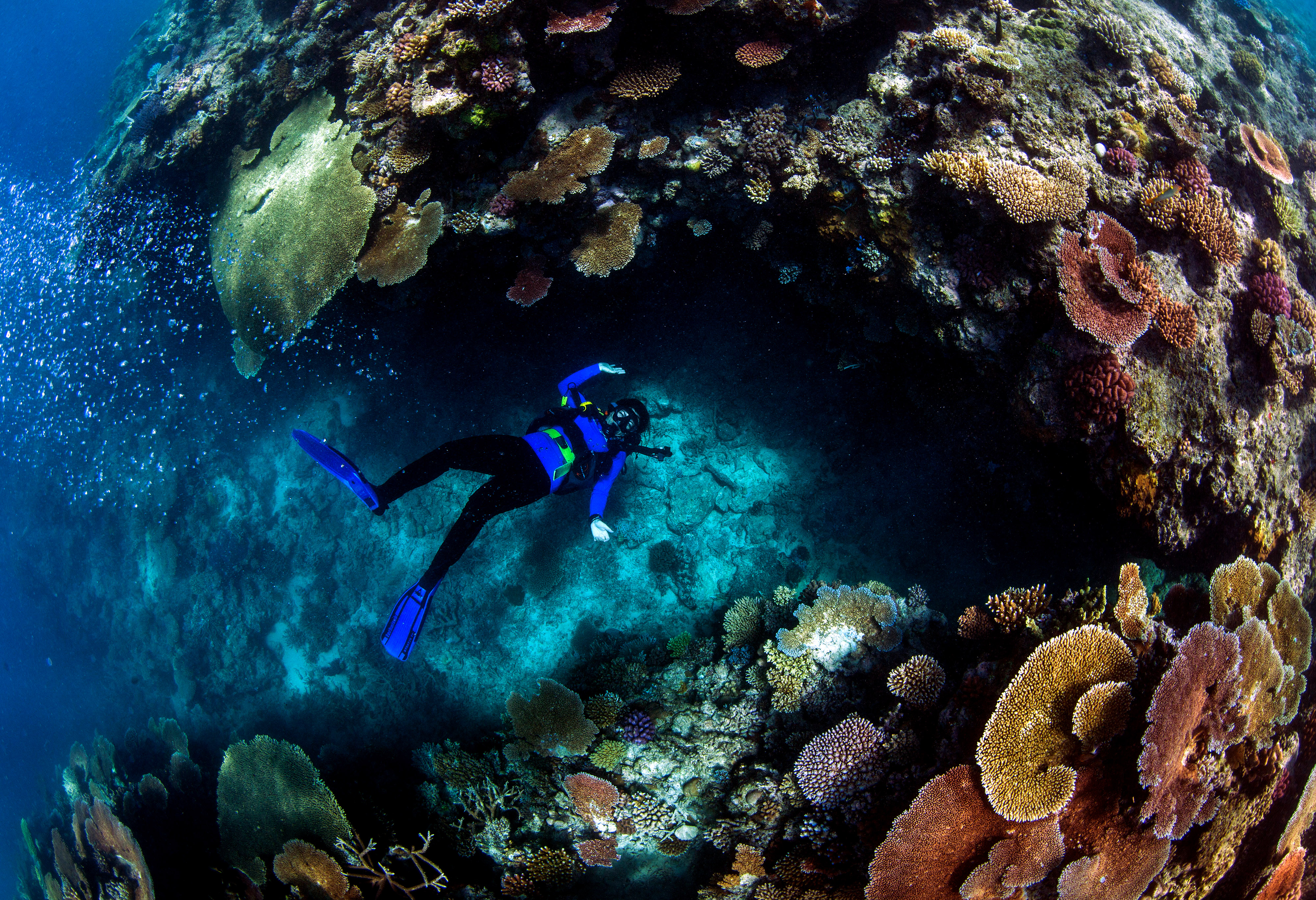 A diver enjoys Mambo 5 at Raine Island